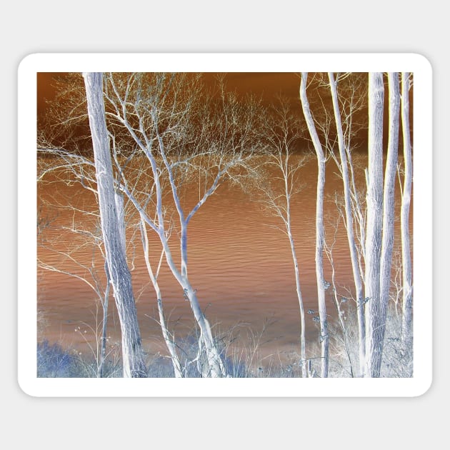 Lake Michigan Through the Trees Sticker by aldersmith